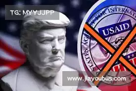 小熊加速器首页——智能防护，实时响应，确保您的生活安全无忧！